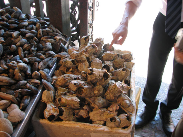 ����(�����s��)