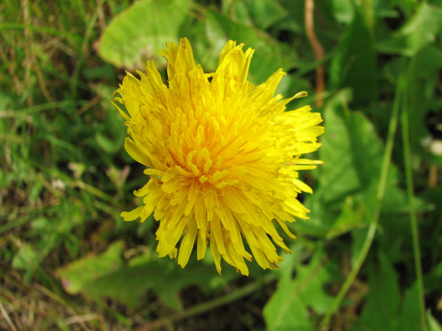 ���F����