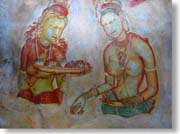 �V�M�����E���f�B