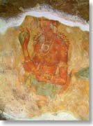 �����J�̃V�M�����E���f�B